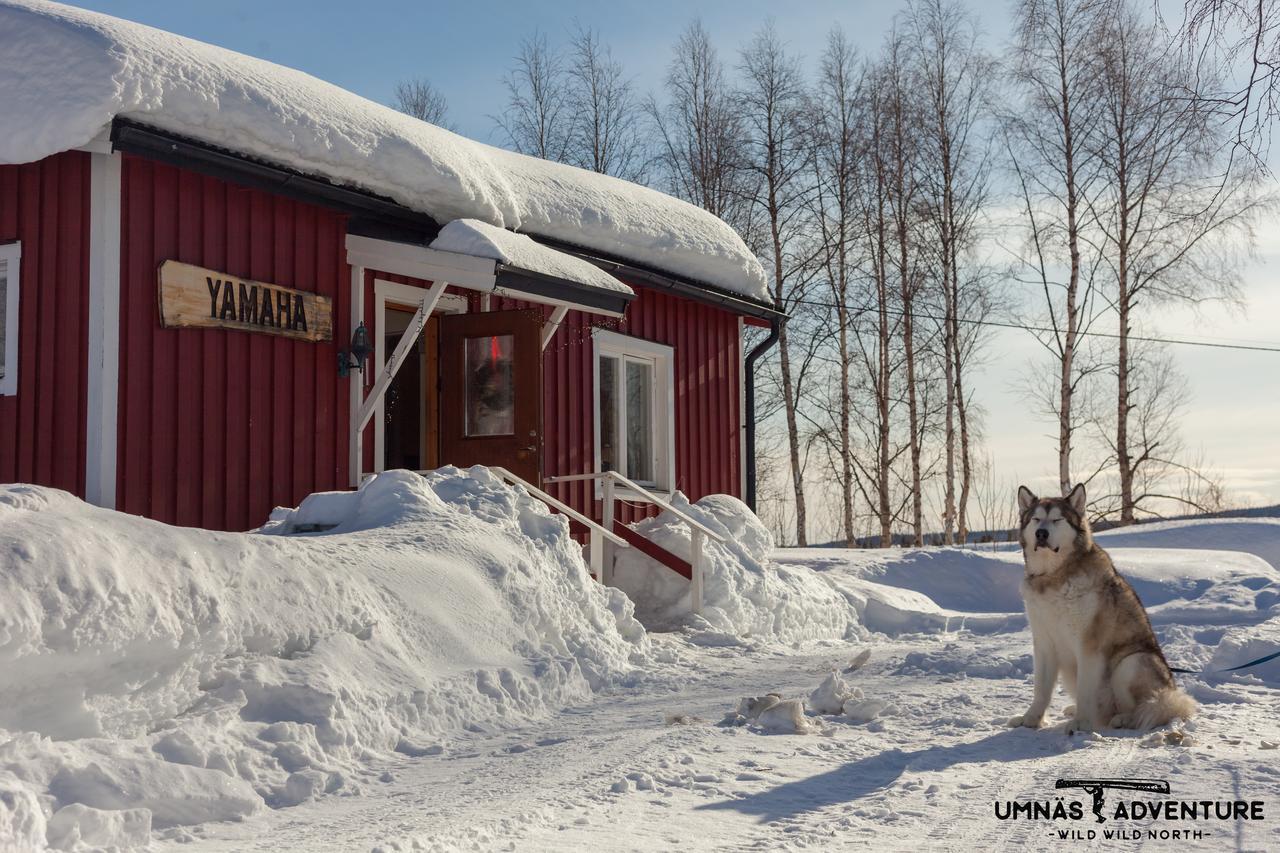 Umnas Adventure Hotel Storuman Exteriör bild